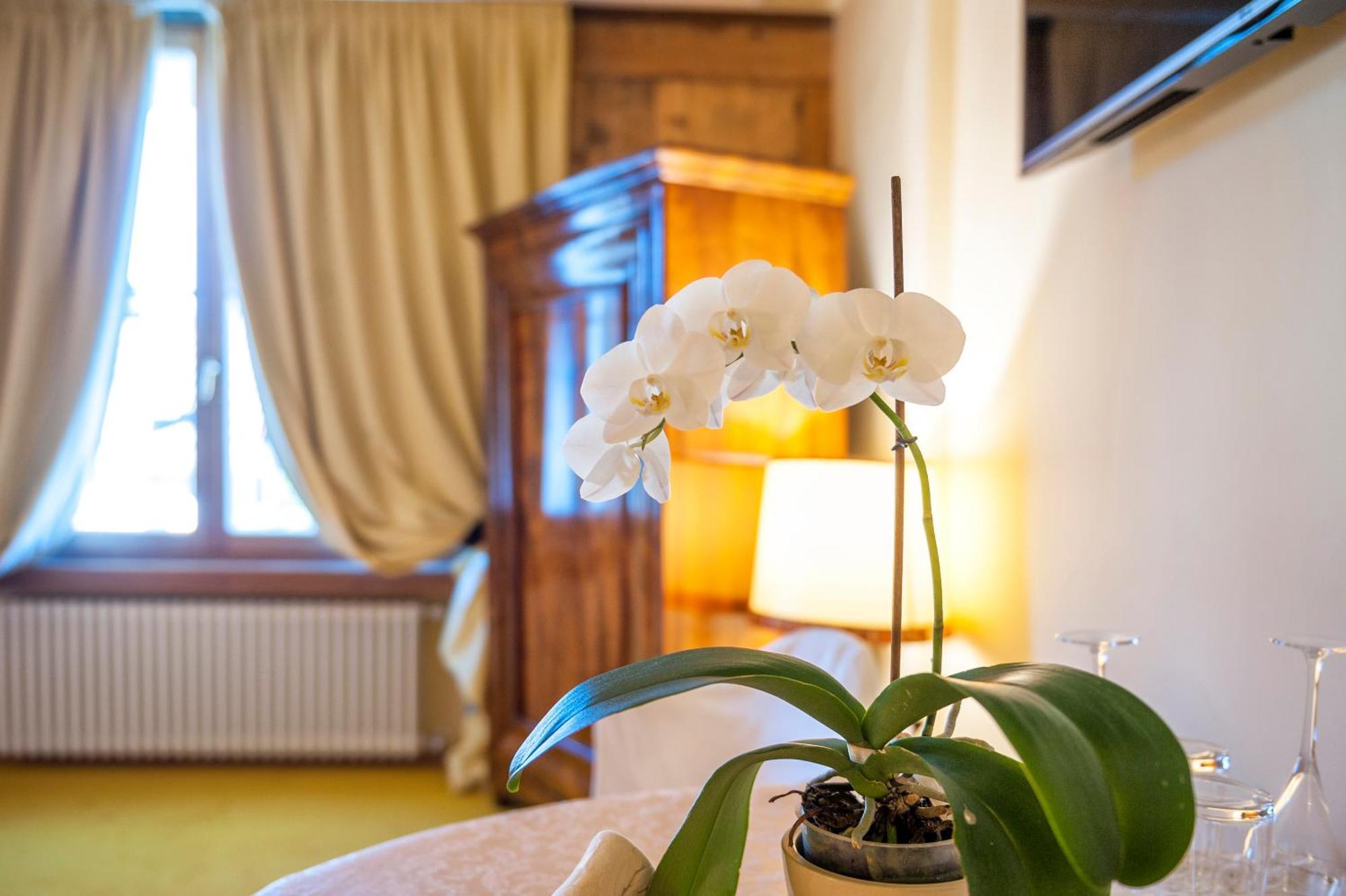 Villa Orso Grigio Ronzone Bagian luar foto